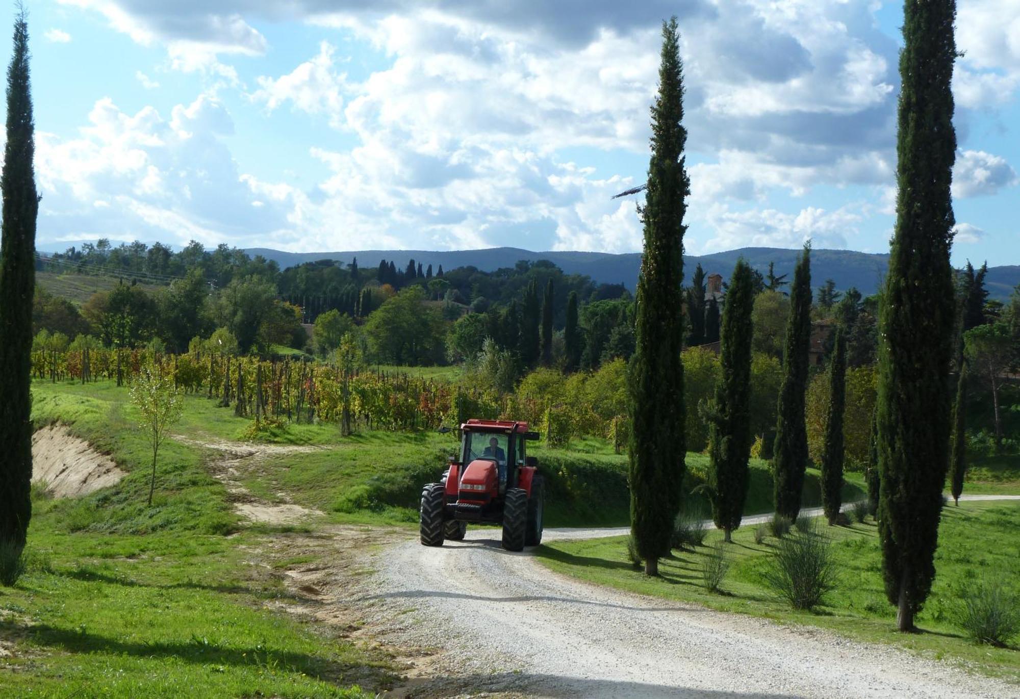 Agriturismo La Grotta Di Montecchino Siena Exterior photo